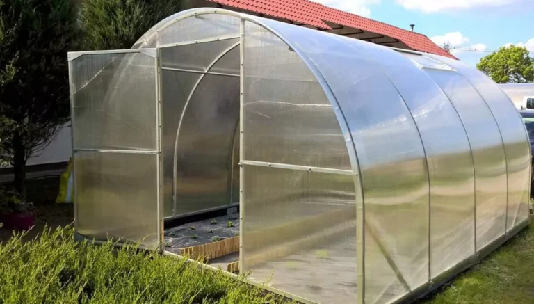 Dlaczego warto wykorzystać płyty z poliwęglanu do budowy szklarni