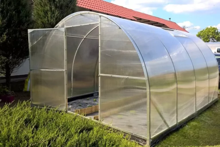 Szklarnia ze szkła czy z poliwęglanu? Porównujemy oba rozwiązania