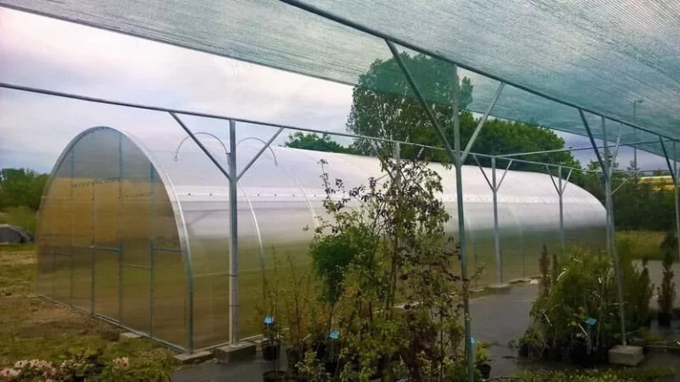 Wiosna za rogiem, czyli czas na poliwęglan komorowy