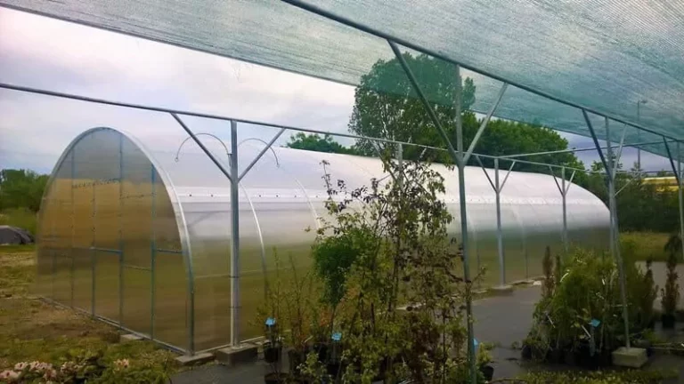 Ile lat wytrzyma szklarnia z poliwęglanu?